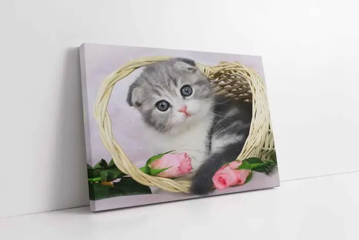 Kedi Yavrusu | Kanvas Tablo | Cam Tablo | Mdf Tablo | A32105 - Görsel 1