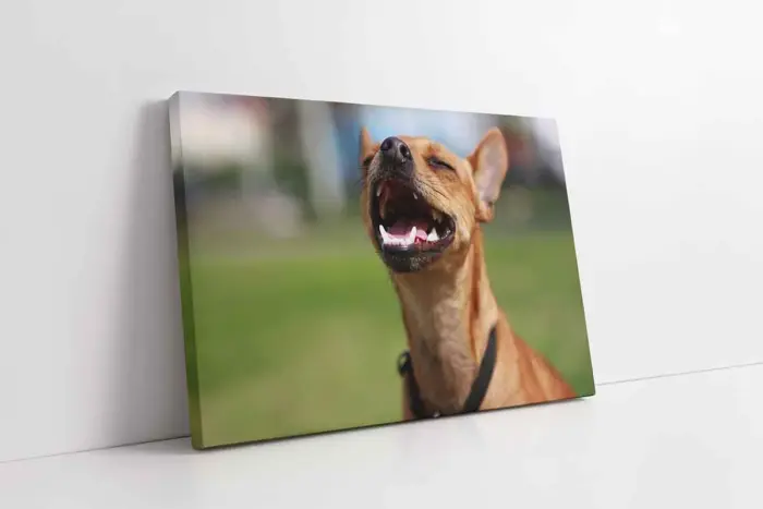 Köpek | Kanvas Tablo | Cam Tablo | Mdf Tablo | A32106 - Görsel 1