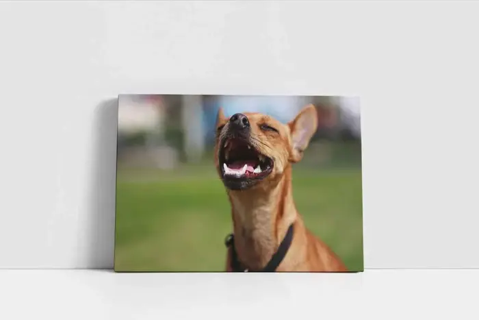 Köpek | Kanvas Tablo | Cam Tablo | Mdf Tablo | A32106 - Görsel 2