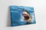 Köpek Balığı | Kanvas Tablo | Cam Tablo | Mdf Tablo | A32107