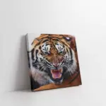 Yakın Çekim Aslan | Kanvas Tablo | Cam Tablo | Mdf Tablo | A32111