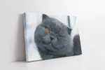 Gri Kedi | Kanvas Tablo | Cam Tablo | Mdf Tablo | A32113
