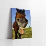 Yakın Çekim At | Kanvas Tablo | Cam Tablo | Mdf Tablo | A32114