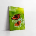 Kelebek | Kanvas Tablo | Cam Tablo | Mdf Tablo | A32119