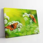 Kelebek | Kanvas Tablo | Cam Tablo | Mdf Tablo | A32120
