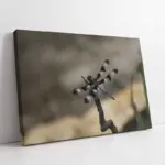 Yusufçuk | Kanvas Tablo | Cam Tablo | Mdf Tablo | A32129