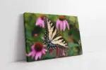 Kelebek | Kanvas Tablo | Cam Tablo | Mdf Tablo | A32131