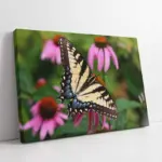 Kelebek | Kanvas Tablo | Cam Tablo | Mdf Tablo | A32131