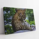 Nöbetçi Kaplan Jean Leon Gerome Kaplan | Kanvas Tablo | Cam Tablo | Mdf Tablo | A32150