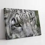 Nöbetçi Kaplan Jean Leon Gerome Kaplan | Kanvas Tablo | Cam Tablo | Mdf Tablo | A32156