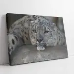 Nöbetçi Kaplan Jean Leon Gerome Kaplan | Kanvas Tablo | Cam Tablo | Mdf Tablo | A32157