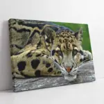 Nöbetçi Kaplan Jean Leon Gerome Kaplan | Kanvas Tablo | Cam Tablo | Mdf Tablo | A32160