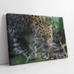 Nöbetçi Kaplan Jean Leon Gerome Kaplan | Kanvas Tablo | Cam Tablo | Mdf Tablo | A32161