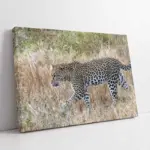 Nöbetçi Kaplan Jean Leon Gerome Kaplan | Kanvas Tablo | Cam Tablo | Mdf Tablo | A32166