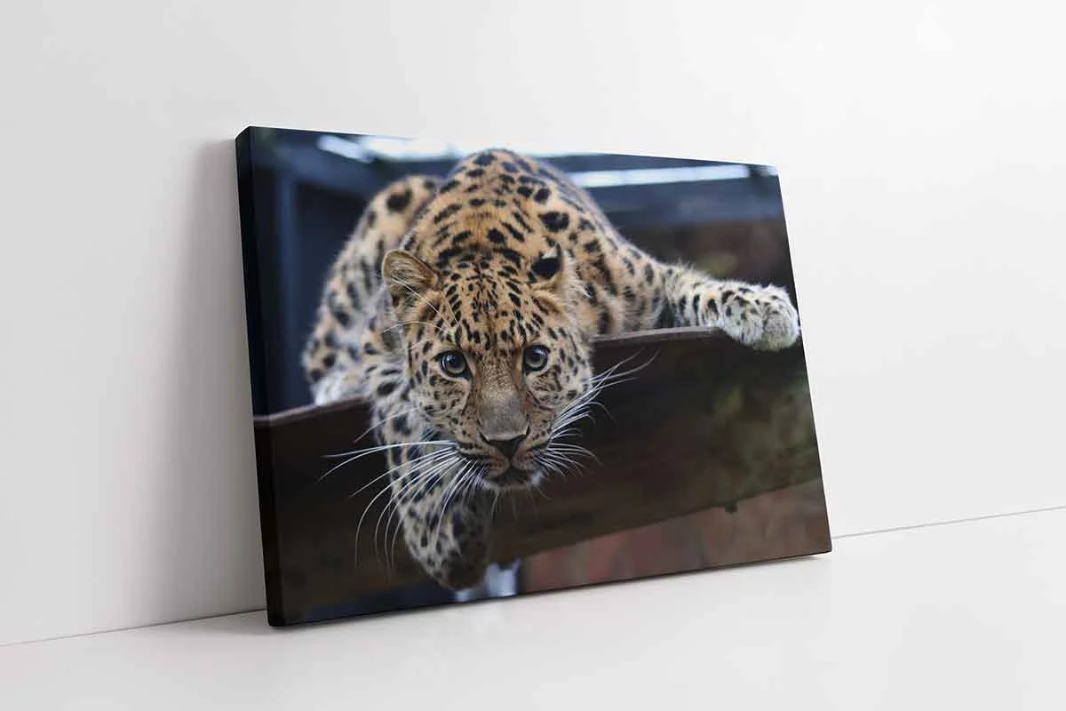 KA32167-10 Nöbetçi Kaplan Jean Leon Gerome Kartal | Kanvas Tablo | Cam Tablo | Mdf Tablo | A32167 - Görsel 1