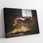 Çiftlikte At | Kanvas Tablo | Cam Tablo | Mdf Tablo | A32169