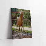 Nehirde Boz Ayı | Kanvas Tablo | Cam Tablo | Mdf Tablo | A32170