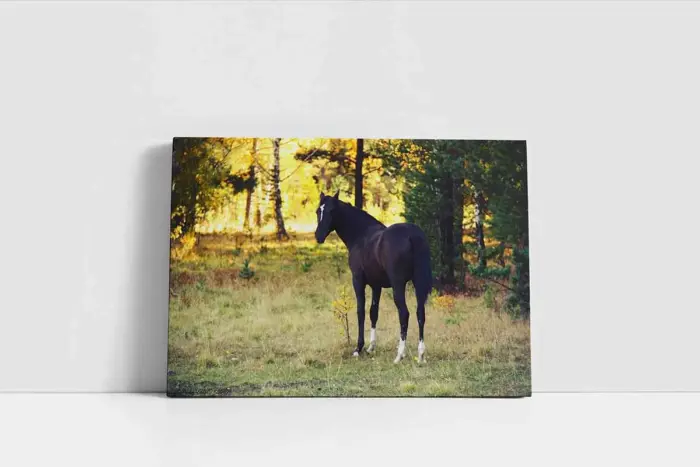 Kurt | Kanvas Tablo | Cam Tablo | Mdf Tablo | A32172 - Görsel 2