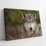 Beyaz Güvercinler | Kanvas Tablo | Cam Tablo | Mdf Tablo | A32173