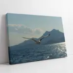 Kanat Açmış Martı | Kanvas Tablo | Cam Tablo | Mdf Tablo | A32177