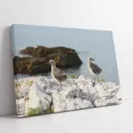 Martı | Kanvas Tablo | Cam Tablo | Mdf Tablo | A32178