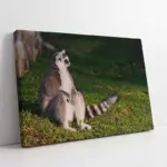 Rakun | Kanvas Tablo | Cam Tablo | Mdf Tablo | A32181