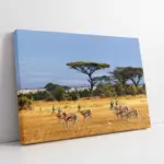 Safari | Kanvas Tablo | Cam Tablo | Mdf Tablo | A32185