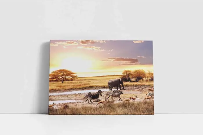 Safari | Kanvas Tablo | Cam Tablo | Mdf Tablo | A32186 - Görsel 2