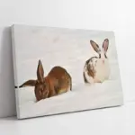 Karda Tavşan | Kanvas Tablo | Cam Tablo | Mdf Tablo | A32187