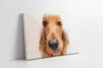 Köpek | Kanvas Tablo | Cam Tablo | Mdf Tablo | A32188