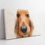 Köpek | Kanvas Tablo | Cam Tablo | Mdf Tablo | A32188