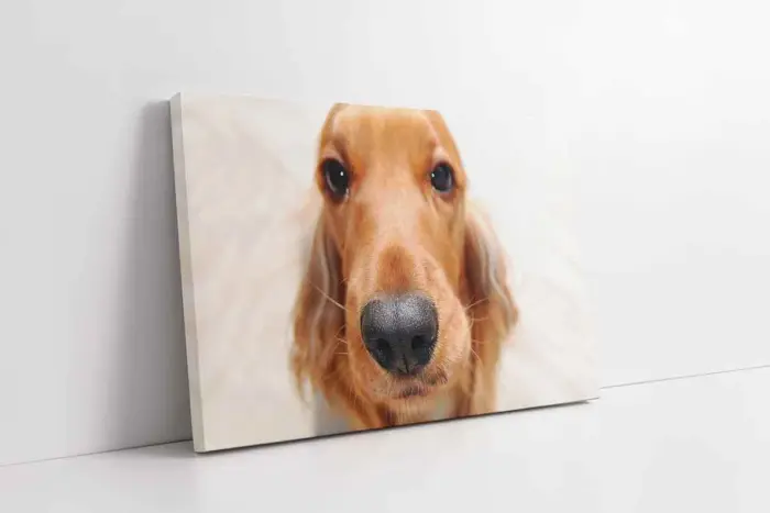 Köpek | Kanvas Tablo | Cam Tablo | Mdf Tablo | A32188 - Görsel 1
