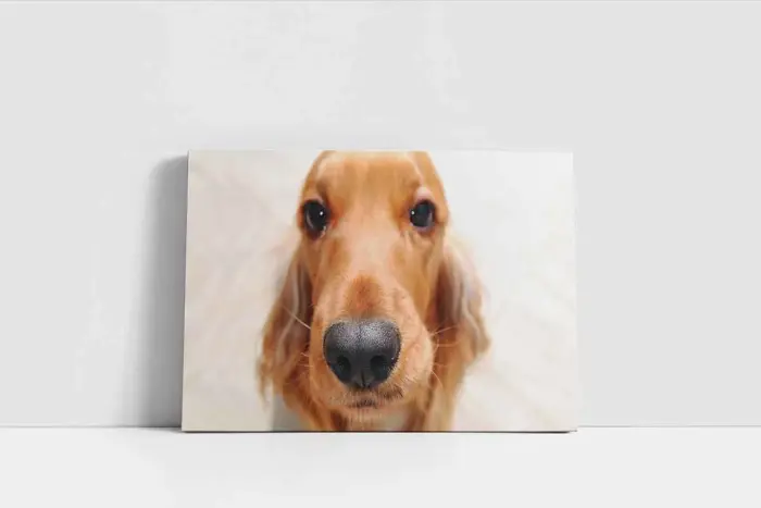 Köpek | Kanvas Tablo | Cam Tablo | Mdf Tablo | A32188 - Görsel 2