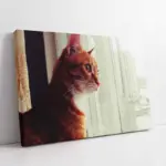 Sarı Kedi | Kanvas Tablo | Cam Tablo | Mdf Tablo | A32189