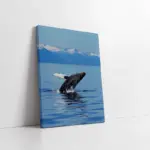 Yunus | Kanvas Tablo | Cam Tablo | Mdf Tablo | A32194