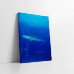 Köpek Balığı | Kanvas Tablo | Cam Tablo | Mdf Tablo | A32195