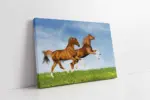 Koşan Atlar | Kanvas Tablo | Cam Tablo | Mdf Tablo | A32201