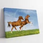 Koşan Atlar | Kanvas Tablo | Cam Tablo | Mdf Tablo | A32201