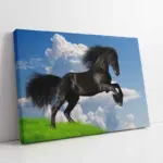 Şaha Kalkmış At | Kanvas Tablo | Cam Tablo | Mdf Tablo | A32202