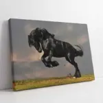 Şaha Kalkmış At | Kanvas Tablo | Cam Tablo | Mdf Tablo | A32203