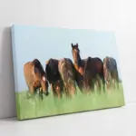 At | Kanvas Tablo | Cam Tablo | Mdf Tablo | A32204