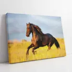 Koşan At | Kanvas Tablo | Cam Tablo | Mdf Tablo | A32205