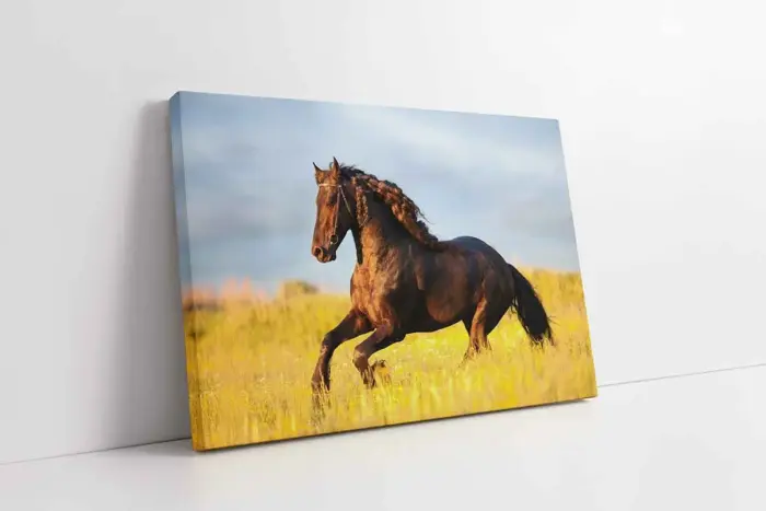 Koşan At | Kanvas Tablo | Cam Tablo | Mdf Tablo | A32205 - Görsel 1