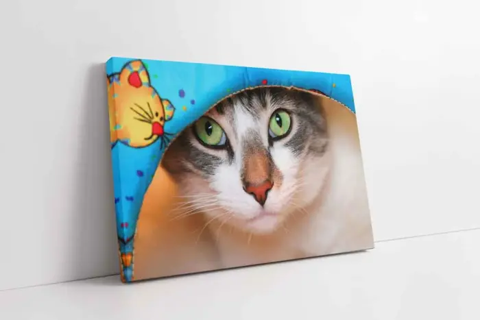 Kedi | Kanvas Tablo | Cam Tablo | Mdf Tablo | A32206 - Görsel 1