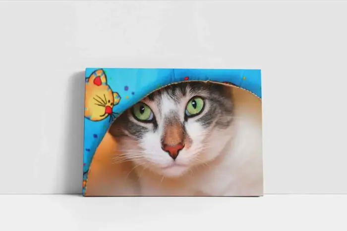 Kedi | Kanvas Tablo | Cam Tablo | Mdf Tablo | A32206 - Görsel 2