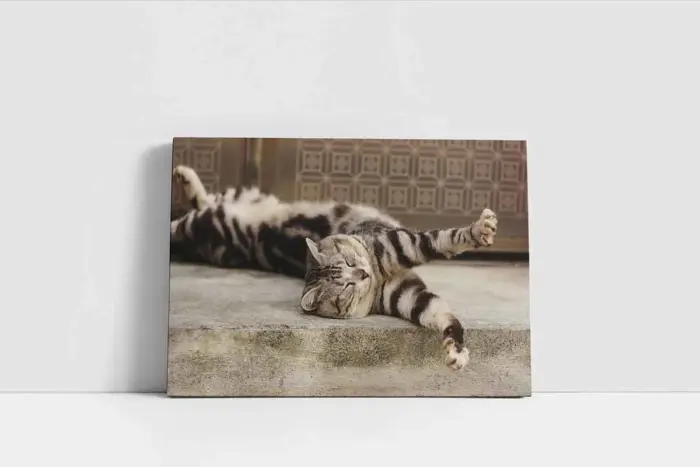 Kedi | Kanvas Tablo | Cam Tablo | Mdf Tablo | A32207 - Görsel 2