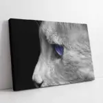 Kedi | Kanvas Tablo | Cam Tablo | Mdf Tablo | A32209