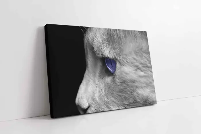 Kedi | Kanvas Tablo | Cam Tablo | Mdf Tablo | A32209 - Görsel 1