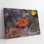 Denizaltı | Kanvas Tablo | Cam Tablo | Mdf Tablo | A32210