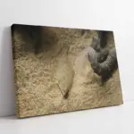 Denizaltı | Kanvas Tablo | Cam Tablo | Mdf Tablo | A32211